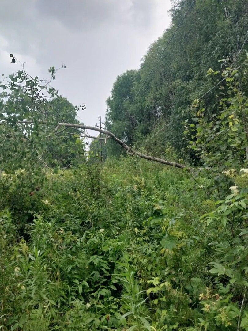 slide-4